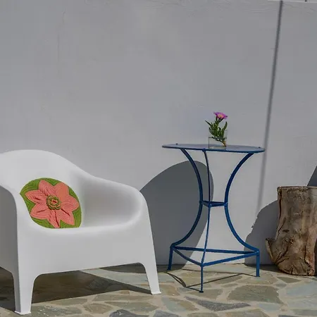 Eva House Dryos Paros