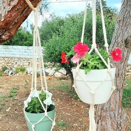 Apartmán Eva House Dryos Paros Drios