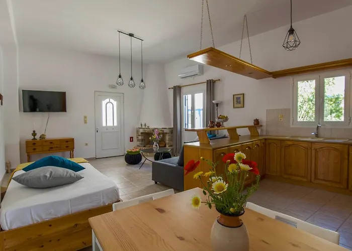 Apartment Eva House Dryos Paros