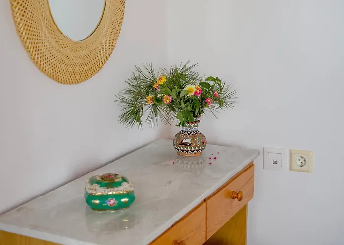 Eva House Dryos Paros * Drios