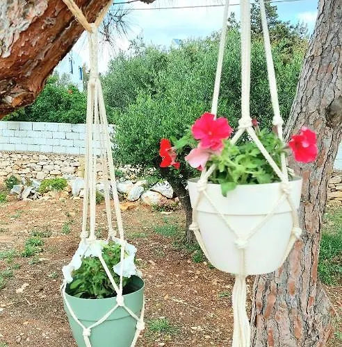 Apartment Eva House Dryos Paros Drios