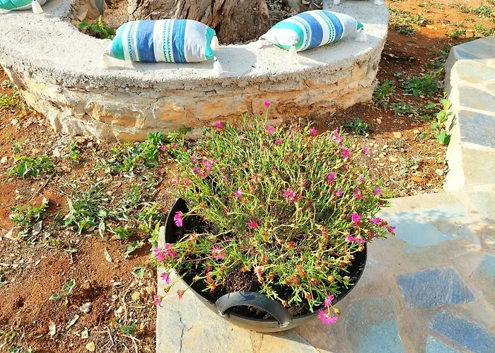 Eva House Dryos Paros