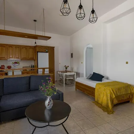 Eva House Dryos Paros * Drios