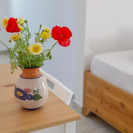 Eva House Dryos Paros Apartment