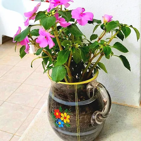 Eva House Dryos Paros Drios