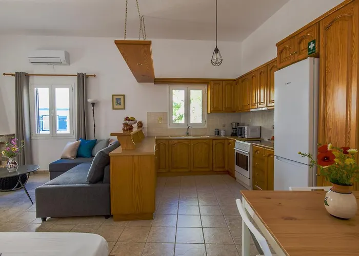 Eva House Dryos Paros