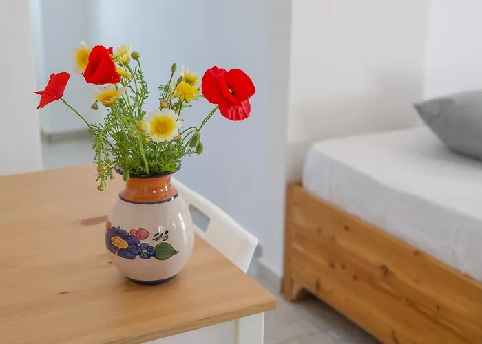 Eva House Dryos Paros アパート