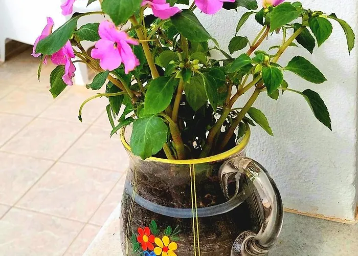 Eva House Dryos Paros ドリオス